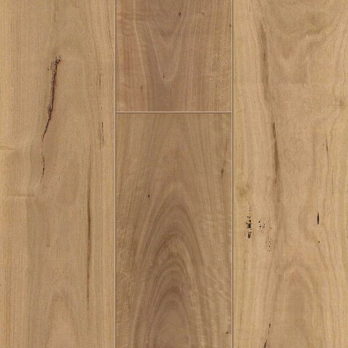 Blackbutt Australian Native Engineered Timber flooring sample